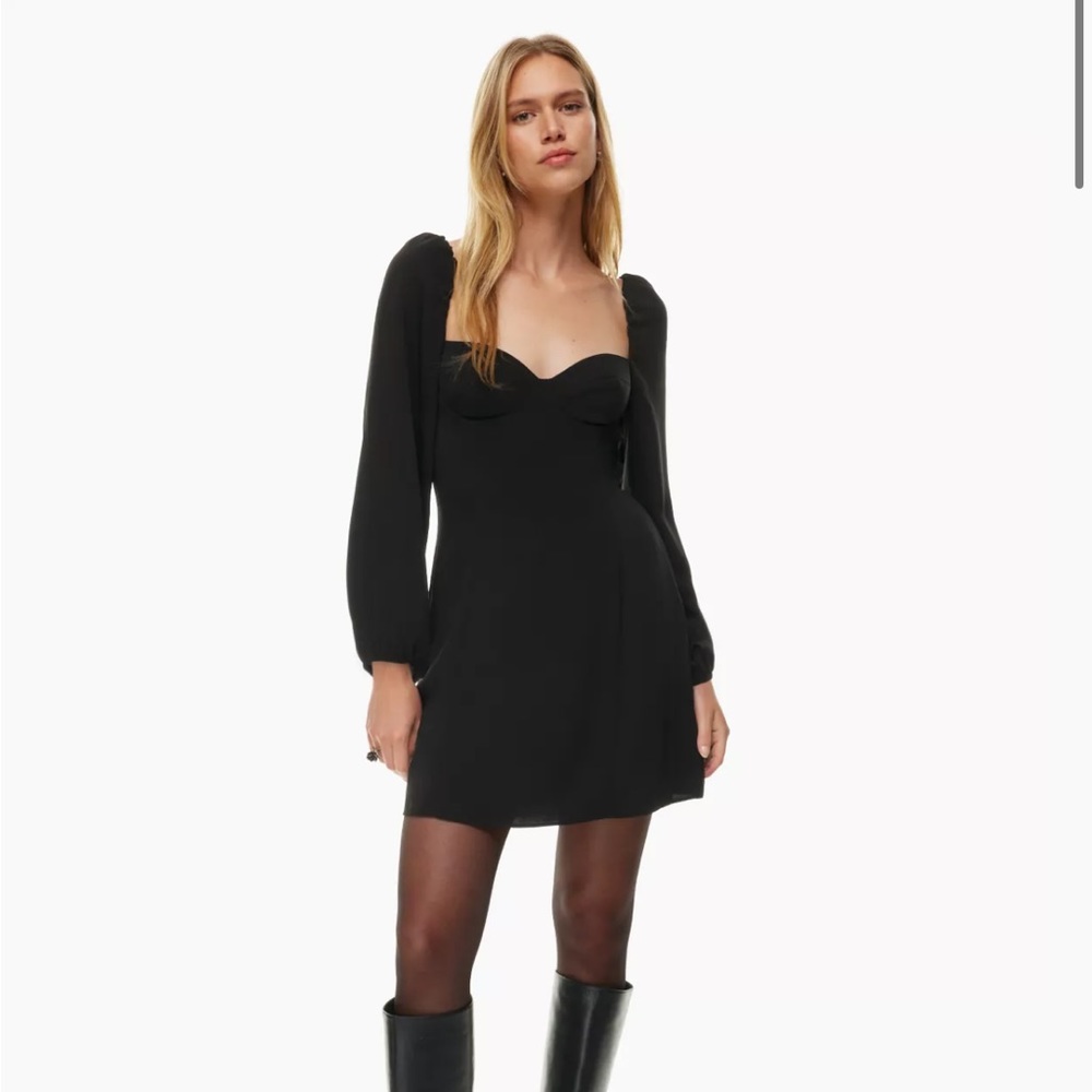 Aritzia Novella Dress